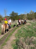 Kita Kinderland - Reiten in der Franzigmark