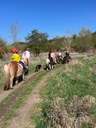 Kita Kinderland - Reiten in der Franzigmark