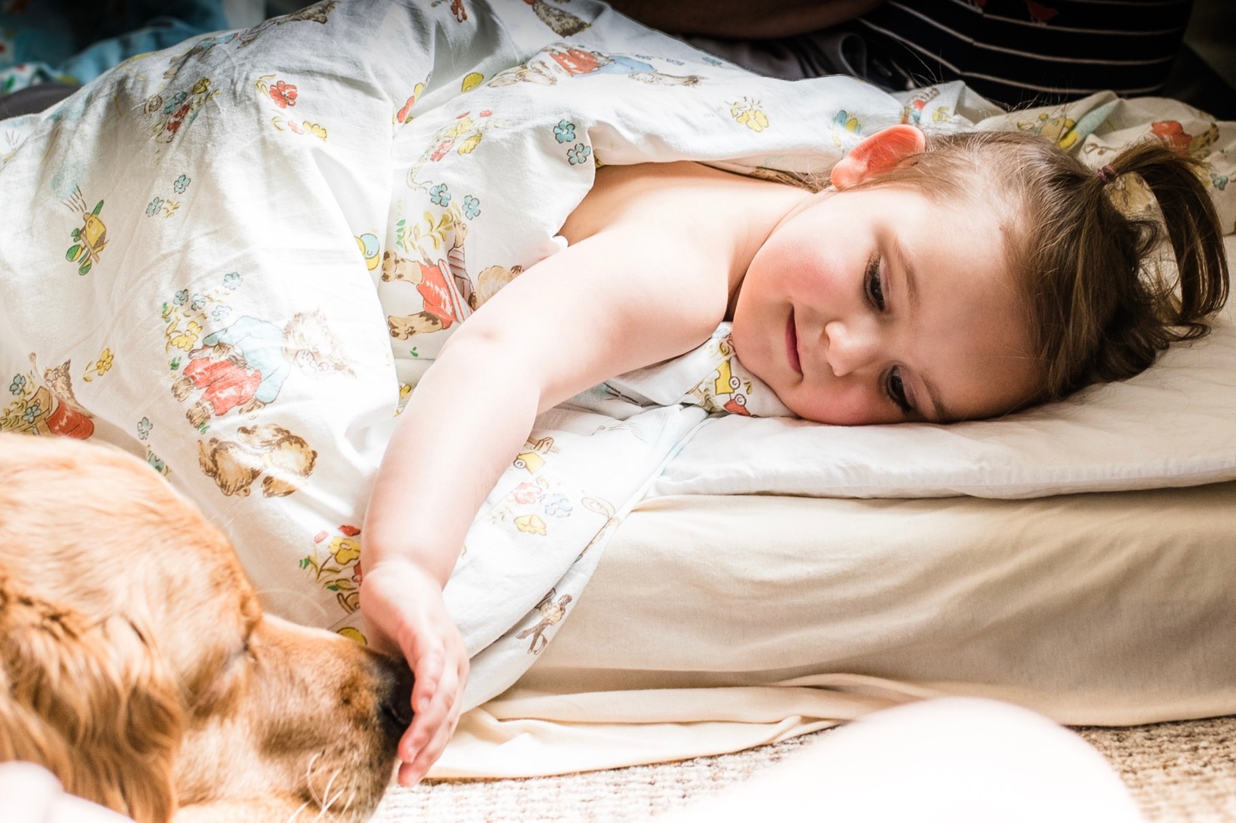 Mittagsschlaf und Hund
