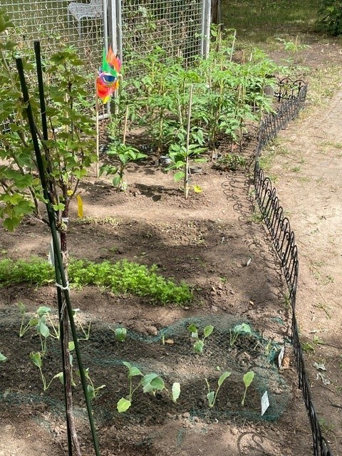 Unsere Gartenzeit – Kleine Gärtner in der Kita Hasenberg ganz groß