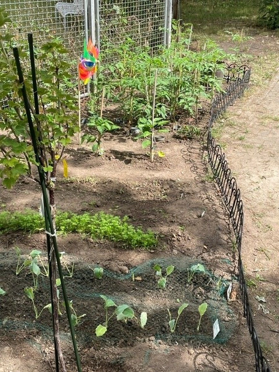 Unsere Kinder gärtnern