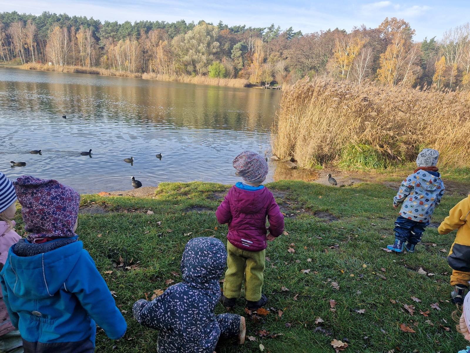 Kita Heideröschen unterwegs im Herbst