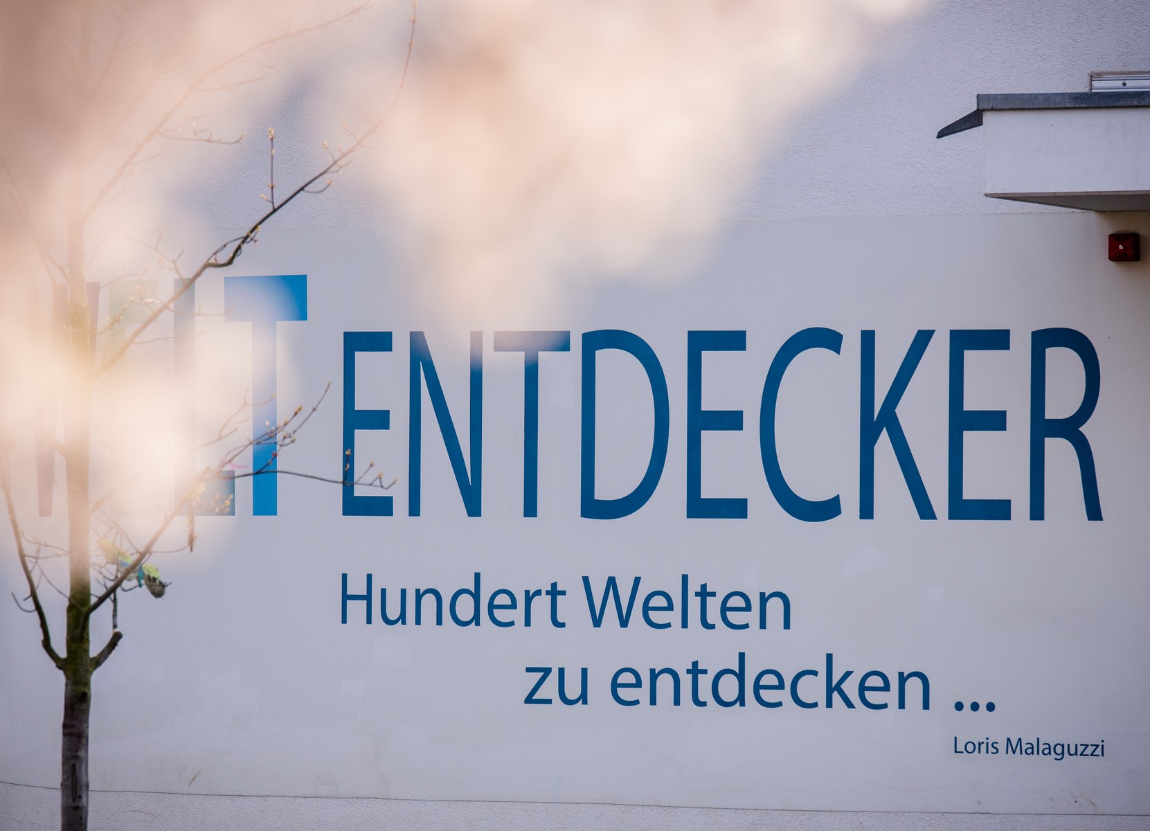 Kita WELT-ENTDECKER Zitat